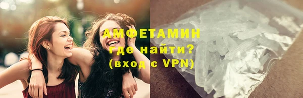хмурый Белокуриха
