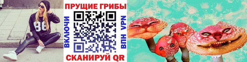 Псилоцибиновые грибы ЛСД  где продают наркотики  МЕГА ONION  Полесск 